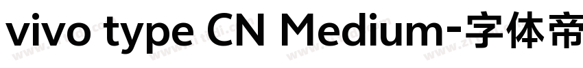 vivo type CN Medium字体转换